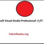 Microsoft Visual Studio Professional الكراك