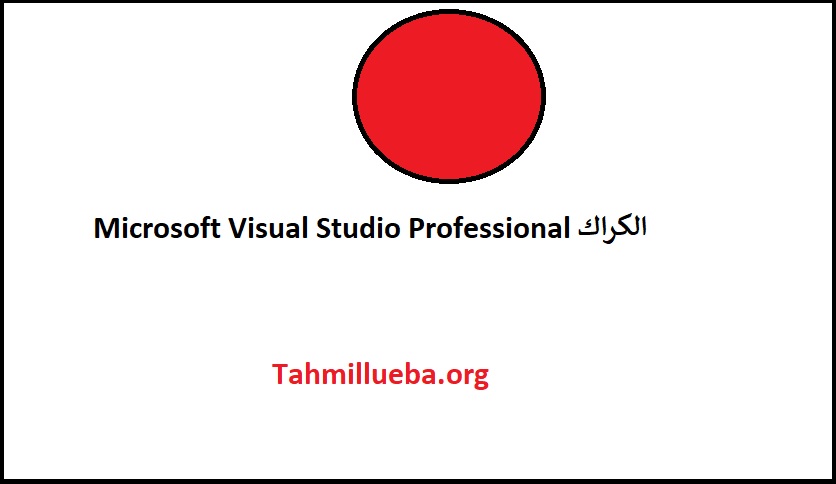 Microsoft Visual Studio Professional الكراك